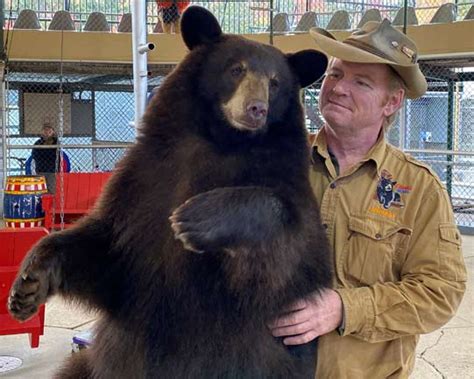 Clarks bears - About. Seasonal business. A FUN FAMILY FAVORITE! Clark's Trading Post is celebrating over 90 years of entertainment. Don't miss the 30 minute bear show, starring our trained …